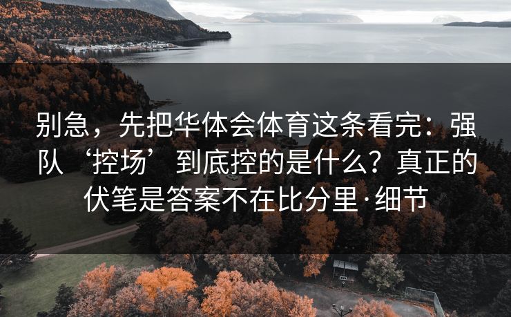 别急，先把华体会体育这条看完：强队‘控场’到底控的是什么？真正的伏笔是答案不在比分里·细节