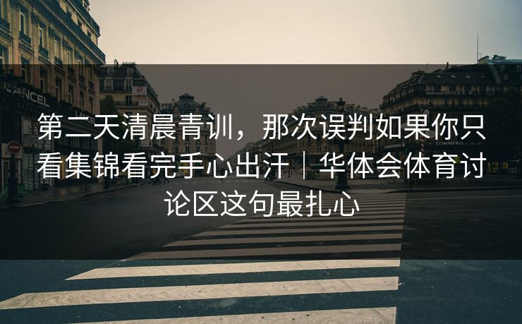 第二天清晨青训，那次误判如果你只看集锦看完手心出汗｜华体会体育讨论区这句最扎心