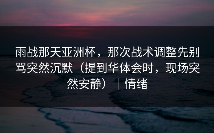 雨战那天亚洲杯，那次战术调整先别骂突然沉默（提到华体会时，现场突然安静）｜情绪